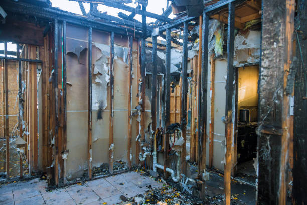Professional Fire Damage Removal technician working in Willamina, OR